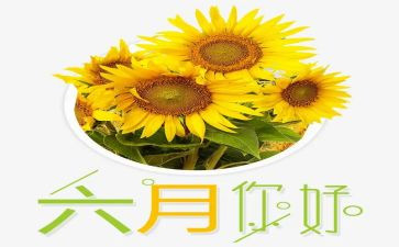 2024年小班六月份工作总结5篇