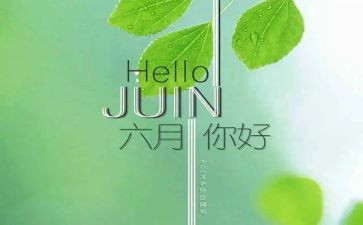 六月份幼儿园工作总结参考5篇