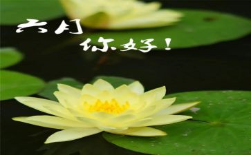 六月份幼儿园工作总结8篇