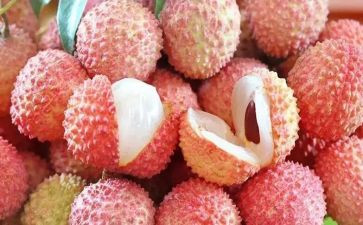 吃荔枝的小作文5篇