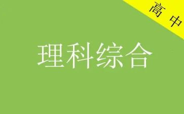 理综合工作计划模板7篇