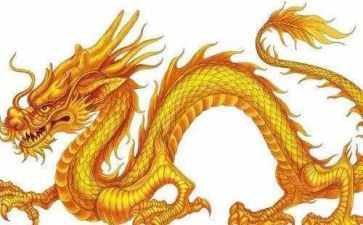 恐龙岛作文参考5篇
