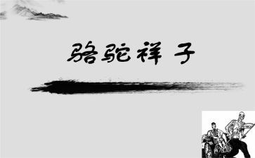 作文骆驼祥子读后感300字7篇