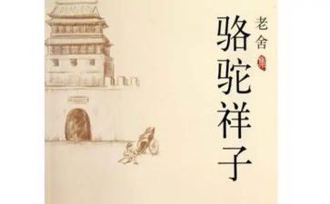 骆驼子读后感600字参考6篇