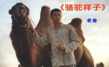 作文骆驼祥子读后感精选8篇