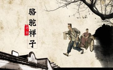 骆驼祥子读后感700作文最新5篇