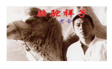 作文骆驼祥子读后感400字6篇