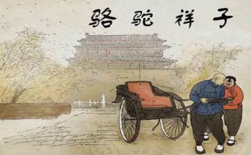 作文骆驼祥子读后感推荐6篇