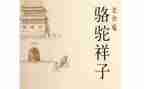 骆驼子读后感600字参考6篇