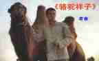 作文骆驼祥子读后感精选8篇