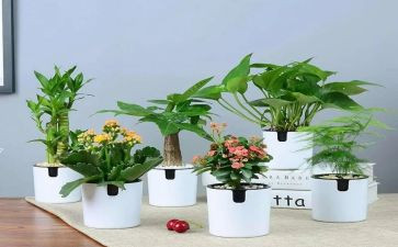 绿化园林工程合同参考7篇
