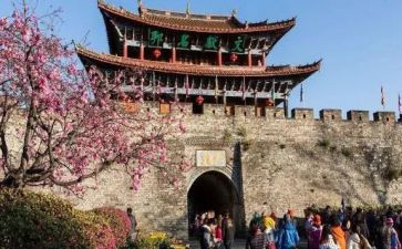 旅游工作总结与工作计划6篇