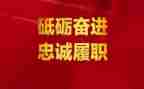 2024年医师履职考核个人总结5篇