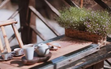 慢生活读后感7篇