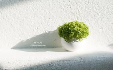 慢生活读后感最新5篇