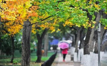 我在雨中漫步作文600字5篇