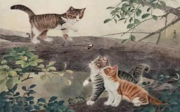 我的猫的作文600字模板6篇