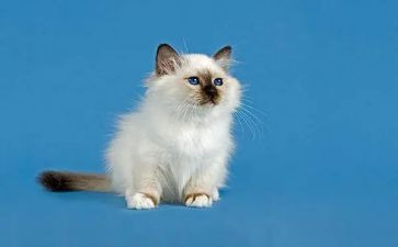 功夫熊猫2观后感推荐5篇