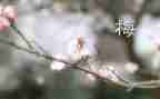 我的梅老师作文最新5篇