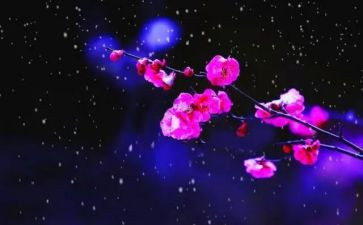 梅花幼儿园教案5篇