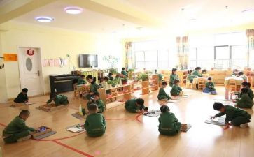 幼儿园托班蒙氏教案5篇