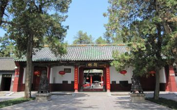 参观庙上村心得体会6篇