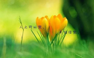 名人读后感500字5篇
