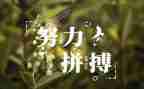 关于名人读书的作文6篇