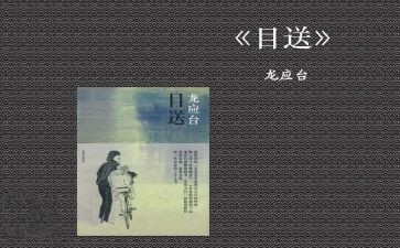 《目送》龙应台读后感6篇