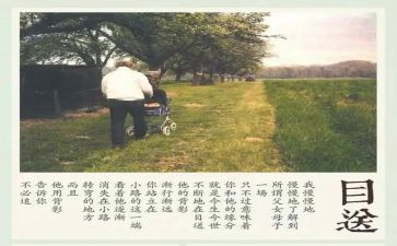 龙应台的目送的读后感8篇