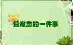 我最难忘的一件事作文6篇