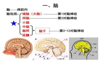 电脑培训心得体会5篇