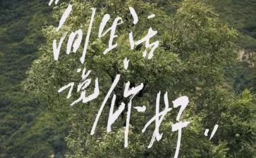 你好傻作文最新5篇