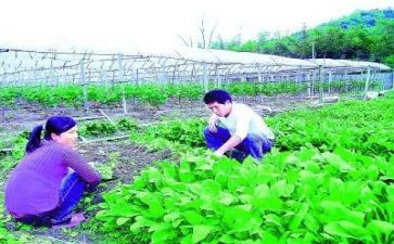 基层农技人员培训总结8篇