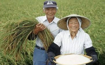 农民需求调查报告5篇