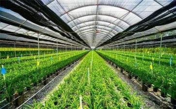 农业工作计划2023最新8篇