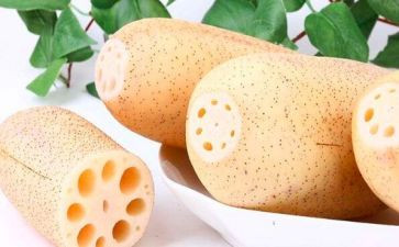 藕的生活教案精选8篇