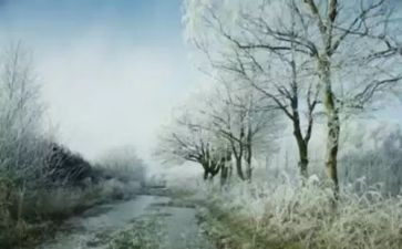 盼下雪优秀作文8篇