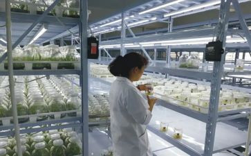 阅读能力的培养心得体会5篇