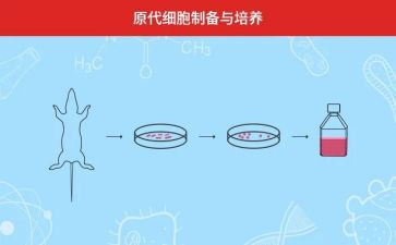 培养总结报告7篇