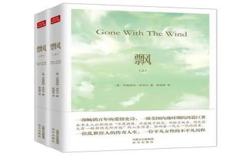 飘的读书心得800字模板6篇