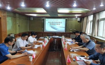 评审工作报告6篇