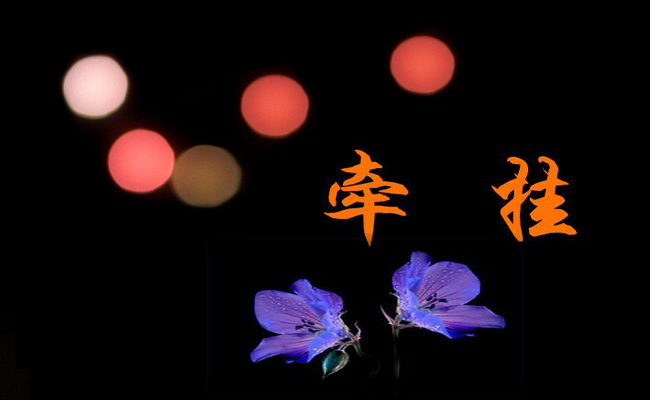 我牵挂的人作文最新6篇