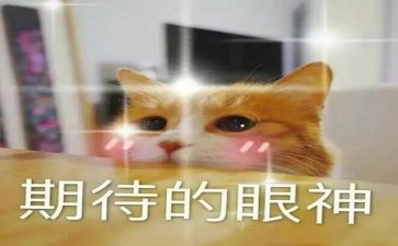 我期待的2023作文600字8篇