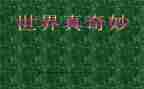 奇妙的石头作文8篇
