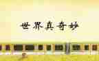 奇妙王国的读后感7篇