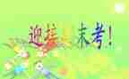 对期末总结报告模板5篇