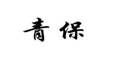 学校青保工作计划最新8篇
