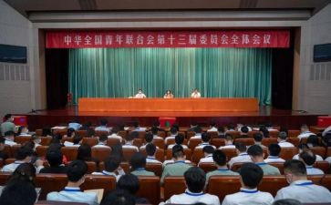 致全国青联十三届心得体会7篇