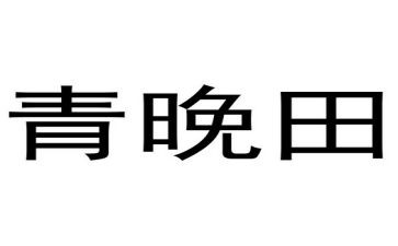 网络青晚总结报告最新7篇